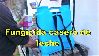 Fungicida casero de leche [upl. by Elysee]