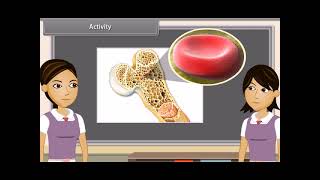 Standard 9 Science Chapter 6  Tissues II  Quick revision [upl. by Setiram158]