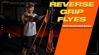 Training Upper Chest Reverse Grip Flyes with Resistance Bands [upl. by Atinel]