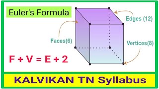 Eulers Formula in Tamil  Polyhedrons  kalvikanTNsyllabus [upl. by Llertniuq760]