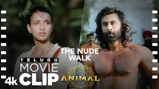 ANIMAL TELUGU SCENE 19 The Nude Walk  Ranbir Gets The Donor  Ranbir Tripti SandeepV Bhushan K [upl. by Kudva]