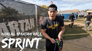 2024 Norcal Spartan Sprint 5K [upl. by Florinda]