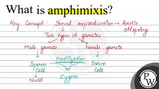 What is amphimixis [upl. by Sulohcin]