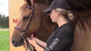 HowTo The Basics of Adjusting a Bridle [upl. by Doane]