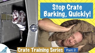 How To Stop Your Dog From Barking In Their Crate At Night [upl. by Anizor]