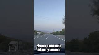 Zirvede kartallarda bulunur yılanlarda [upl. by Nirrat997]