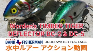 timbertiger bassfishing ティンバータイガー 水中ルアー動画  UNDERWATER FOOTAGE  DC2 DC5 水中ルアーアクション動画 [upl. by Panayiotis]