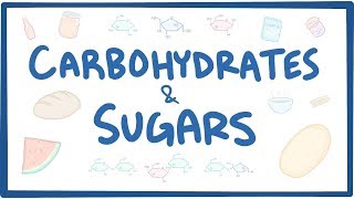 Carbohydrates amp sugars  biochemistry [upl. by Ellasal402]