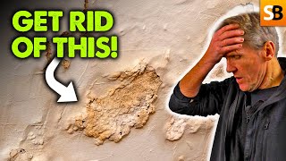 Say Goodbye to Rising Damp  A Simple Solution [upl. by Aeht]