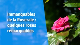 Immanquables de la Roseraie  roses remarquables [upl. by Dustie]