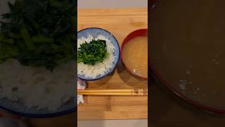 Cooking with Fresh Daikon Radish Leaves Simple Japanese Meal 🥘 food [upl. by Mascia]