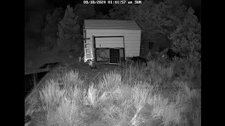 Skinwalker Caught On Security Camera [upl. by Nylanej]