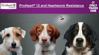 ProHeart 12 amp Heartworm Resistance [upl. by Tolland]