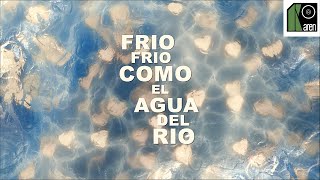 Juan Luis Guerra 440  Frío Frío Lyric Video [upl. by Suoinuj]