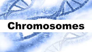 Chromosome Structure and Function I Autosomes and Sex Chromosomes [upl. by Adiana]