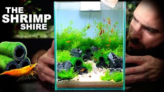 The Shrimp Shire Nano Neocaridina Shrimp Aquascape Tutorial w No Filter [upl. by Kessler]