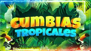 🔆CUMBIAS TROPICALES MIX 🦜VIEJITAS TROPICALES🎺ACAPULCO TROPICAL TROPICAL FLORIDA LOS KARKIS [upl. by Rehpotsrihc]