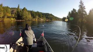 How to rig 360 Flashers with some coho caught on the Siuslaw River [upl. by Fritts]