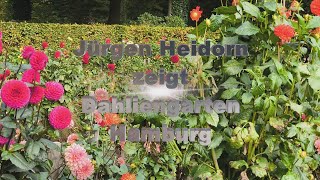 Dahliengarten Hamburg 4K [upl. by Liban]