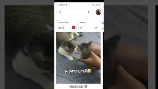 Kurs yen hari ini oyen okane kursyen [upl. by Rehpretsirhc340]