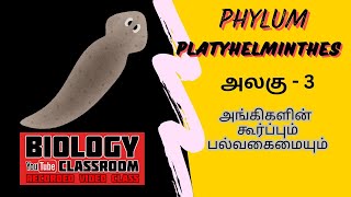 PHYLUM PLATYHELMINTHES TAMIL  கணம் Platyhelminthes அங்கிகளின் கூர்ப்பும் பல்வகைமையும்  அலகு  3 [upl. by Naeloj]