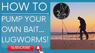 HOW TO PUMP YOUR OWN BAIT  LUGWORM 2thewild seafishing bait lugworm [upl. by O'Doneven]