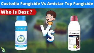 CUSTODIA FUNGICIDE VS AMISTAR TOP FUNGICIDEредAZOXYSTROBIN TEBUCONAZOLE DIFENCONAZOL ред KHETIKI GYAN [upl. by Chinua911]