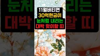 11월 버티면 30억 현금이 눈처럼 내리는 대박 맞이할 띠 [upl. by Ecnarrat588]