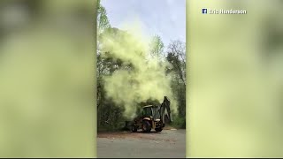 Video Extra Massive pollen cloud erupts from trees [upl. by Annahsirhc308]