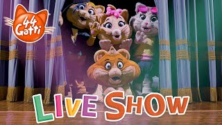 44GattiIT  Live Show  Anteprima [upl. by Yrok219]