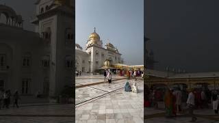 Teri preet he Mera jeewan hai 🙏🙏🪯 viralvideo wmk satnamwaheguru banglasahib [upl. by Aid]