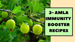 2  AMLA IMMUNITY BOOSTER RECIPES  WINTER RECIPE  immunitybooster [upl. by Flodnar]