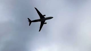 Air Transat A330 taking off from Pearson Airport [upl. by Clementine577]