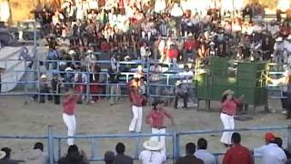 Fiestas Guadalupanas 2008 Uripitio Michoacan [upl. by Ahseinek401]