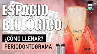 PERIODONTOGRAMA Paso a Paso Espacio Biológico [upl. by Hein]