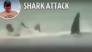 Horror footage of shark taking bite out of surfer as he desperately tries to escape [upl. by Erlina]