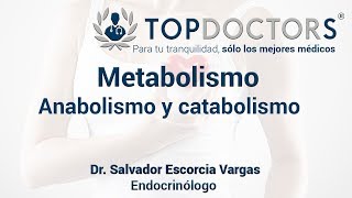 Metabolismo  Anabolismo y catabolismo ¿Qué son [upl. by Leigha]