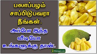 பலாப்பழம் சாப்பிடுவதால் ஏற்படும் நன்மைகள்  Jackfruit benefits in Tamil  Palapalam nanmaigal [upl. by Ginnie]