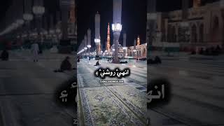 Sindhi naat youtubeshorts youtyubeshorts youtubshorts [upl. by Lucho]