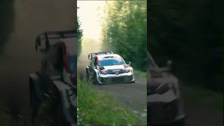 Thierry Neuville Flat Out WRC Rally 2024 Rally1 WRC Rally RallyCar shortsvideoshortsfeef [upl. by Carilyn112]