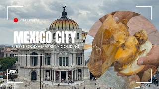 Mexico Street Food  Mexico City Food  Xochimilco  Chapultepec park  Food Travel Vlog [upl. by Doowron366]