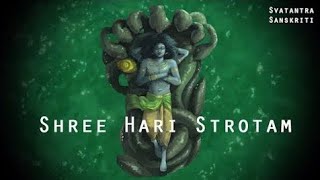 Shri Hari Stotram Lyrics  Hindi Meaning Of Sanskrit Shlok [upl. by Natale]