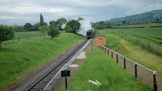 Peninsular and Oriental Steam Navigation through Hayles Abbey Halt May 2024 [upl. by Adyht]