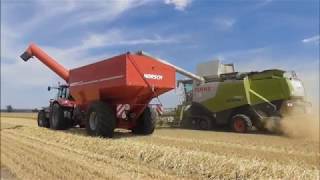 Gerste dreschen Claas Lexion 760 580 TT Claas Arion Claas Axion 2018 [upl. by Memberg]