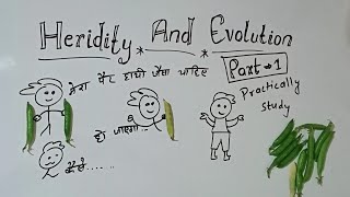 heridity and evolution class 10 part 1 GKP class 10 biology heredity and evolution explain in Hindi [upl. by Ayeka]