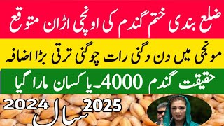 گندم کی سپورٹ پرائز پابندی ختم Wheat price in punjabگندم کا ریٹ 2024 makki till sarsoGallasuper [upl. by Bysshe]