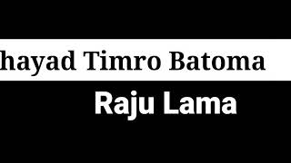 Shayad Timro Batoma Lyrics amp Chords [upl. by Mallin585]