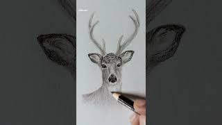 Dear Drawing 🦌art drawing drawingshorts [upl. by Suzie807]