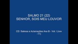 SALMO 21 22  SENHOR SOIS MEU LOUVOR [upl. by Assillim]