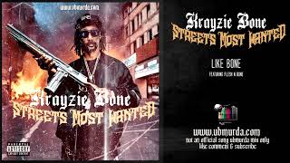 Krayzie Bone  Like Bone Ft Flesh N bone [upl. by Nhor403]